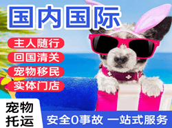 三亚航空空运国际宠物托运 【国